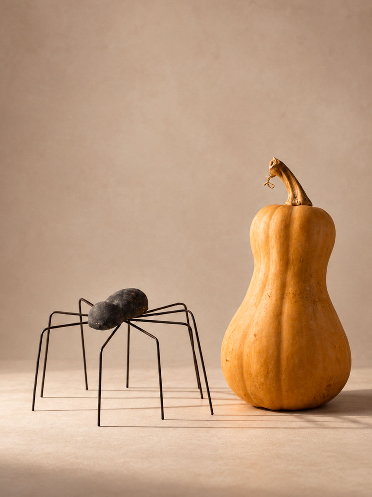 Clay & Wire Spiders