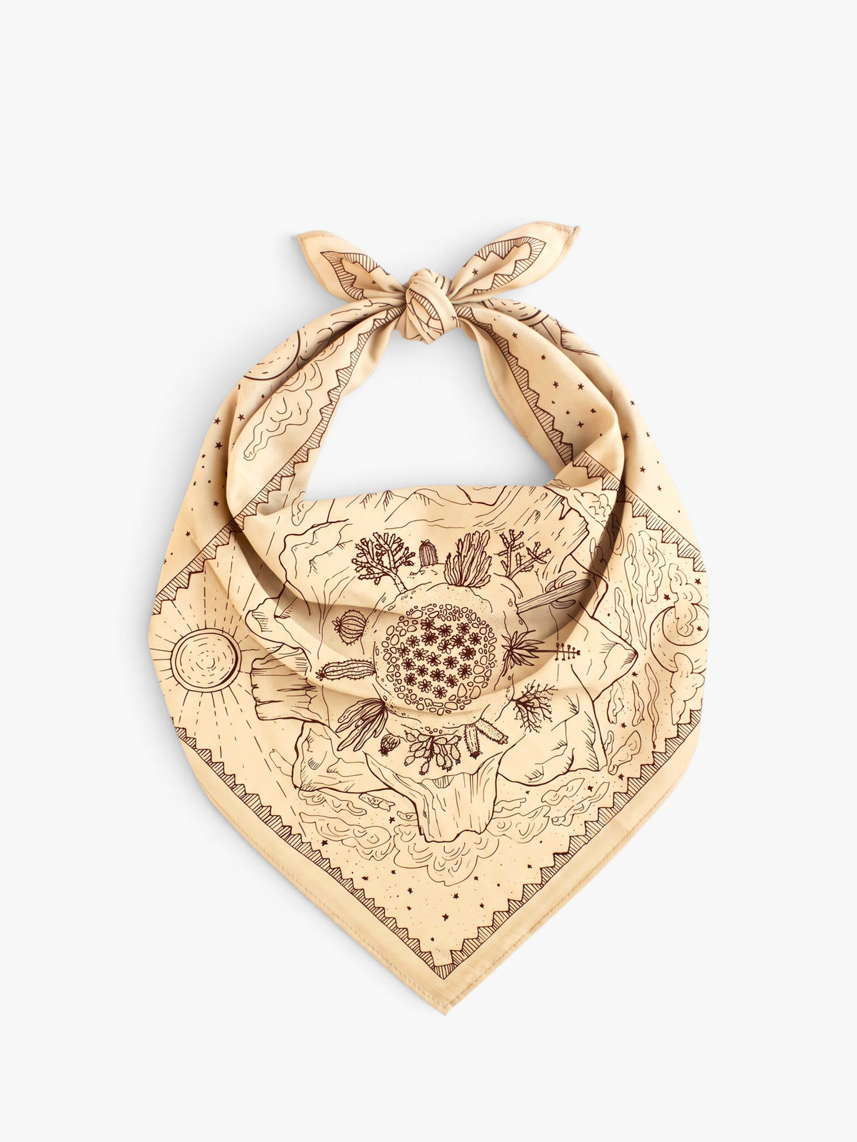 Desert Bandana