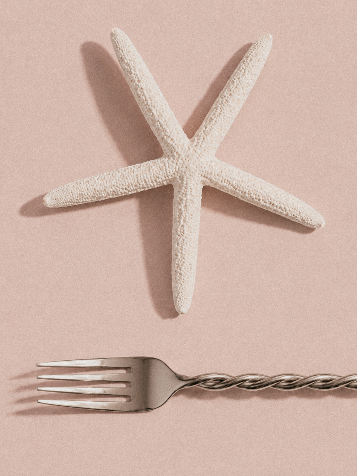 Ava Silverware