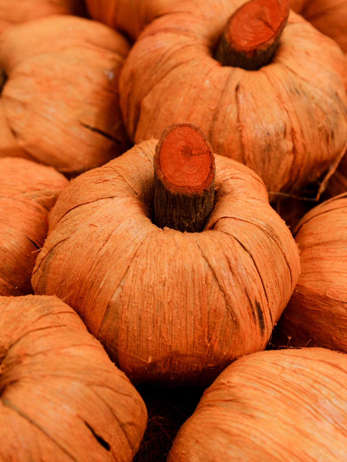 Pumpkin Wreath